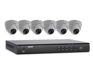 FLIR IP 8 Ch NVR Kit with 6 POE Mini Eye Ball Cameras - VDC Vandelta